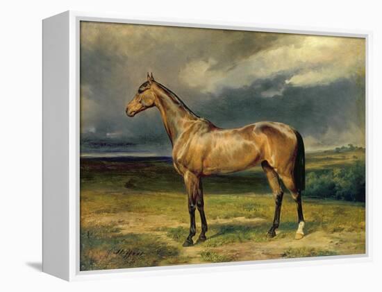 Abdul Medschid' the Chestnut Arab Horse, 1855-Carl Constantin Steffeck-Framed Premier Image Canvas