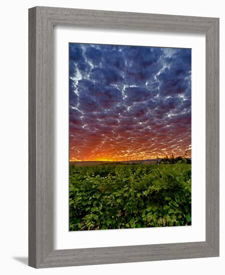 Abeja Winery at Dawn, Walla Walla, Washington, USA-Richard Duval-Framed Photographic Print