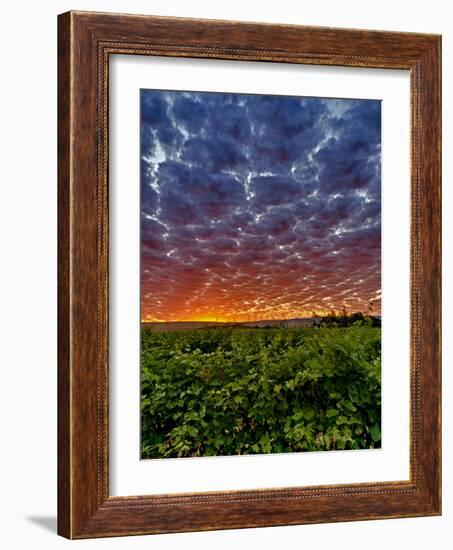 Abeja Winery at Dawn, Walla Walla, Washington, USA-Richard Duval-Framed Photographic Print