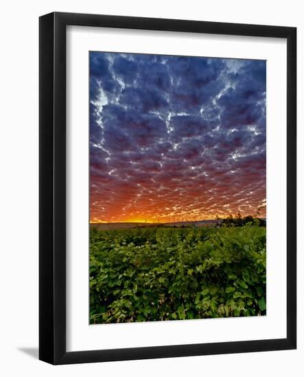 Abeja Winery at Dawn, Walla Walla, Washington, USA-Richard Duval-Framed Photographic Print