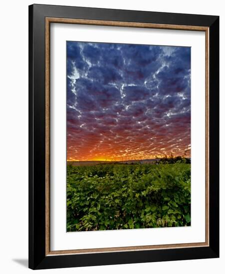 Abeja Winery at Dawn, Walla Walla, Washington, USA-Richard Duval-Framed Photographic Print