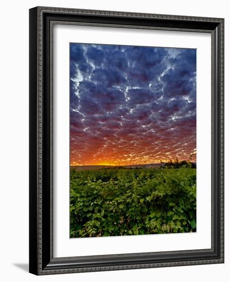 Abeja Winery at Dawn, Walla Walla, Washington, USA-Richard Duval-Framed Photographic Print