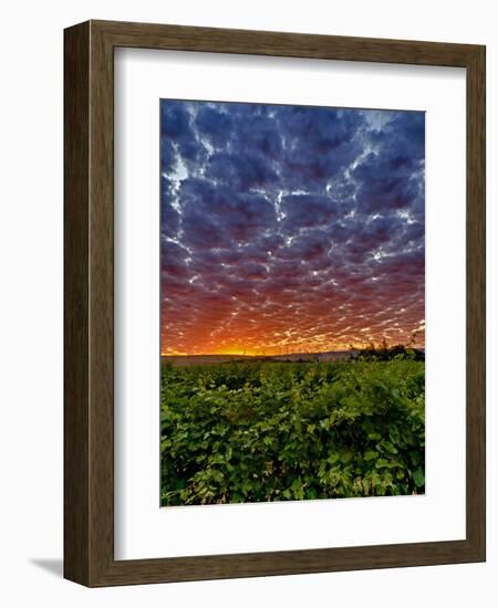 Abeja Winery at Dawn, Walla Walla, Washington, USA-Richard Duval-Framed Premium Photographic Print