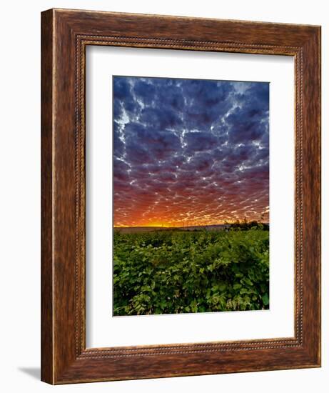 Abeja Winery at Dawn, Walla Walla, Washington, USA-Richard Duval-Framed Premium Photographic Print