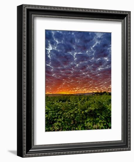 Abeja Winery at Dawn, Walla Walla, Washington, USA-Richard Duval-Framed Premium Photographic Print