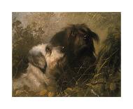Terrier And Dandie-Abel Hold-Premium Giclee Print