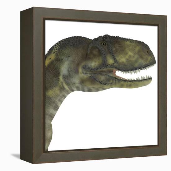 Abelisaurus Portrait-Stocktrek Images-Framed Stretched Canvas