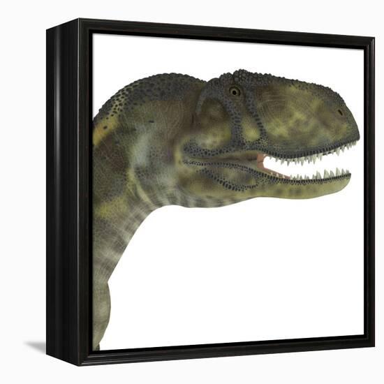 Abelisaurus Portrait-Stocktrek Images-Framed Stretched Canvas