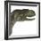 Abelisaurus Portrait-Stocktrek Images-Framed Art Print