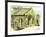 Aberdeen Summer House in Dee Street 1885 UK-null-Framed Giclee Print