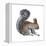 Abert's Squirrel (Sciurus Aberti), Mammals-Encyclopaedia Britannica-Framed Stretched Canvas