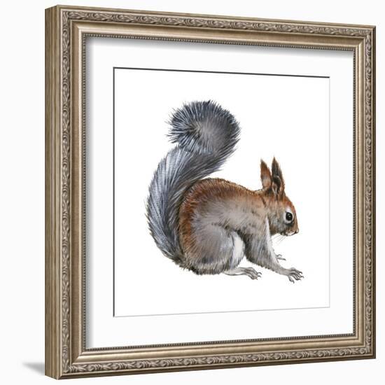 Abert's Squirrel (Sciurus Aberti), Mammals-Encyclopaedia Britannica-Framed Art Print
