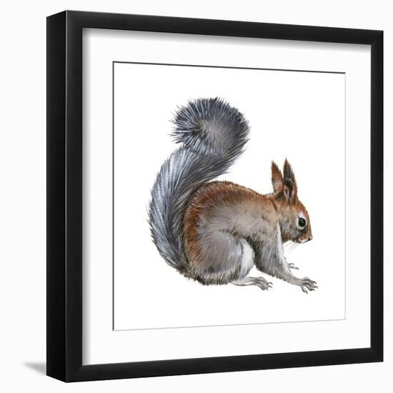 Abert's Squirrel (Sciurus Aberti), Mammals-Encyclopaedia Britannica-Framed Art Print