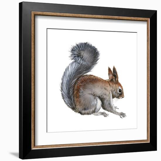 Abert's Squirrel (Sciurus Aberti), Mammals-Encyclopaedia Britannica-Framed Art Print