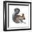 Abert's Squirrel (Sciurus Aberti), Mammals-Encyclopaedia Britannica-Framed Art Print