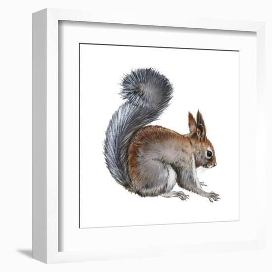 Abert's Squirrel (Sciurus Aberti), Mammals-Encyclopaedia Britannica-Framed Art Print