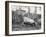 Abingdon/Pinta Island Giant Tortoise at London Zoo, March 1914-Frederick William Bond-Framed Photographic Print