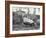 Abingdon/Pinta Island Giant Tortoise at London Zoo, March 1914-Frederick William Bond-Framed Photographic Print