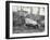 Abingdon/Pinta Island Giant Tortoise at London Zoo, March 1914-Frederick William Bond-Framed Photographic Print