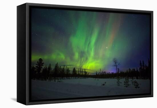 Abisko, Sweden. Chasing the Northern Lights (Aurora Borealis) in Swedish Lapland.-Micah Wright-Framed Premier Image Canvas