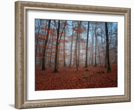 Ablaze in Red-Philippe Manguin-Framed Photographic Print