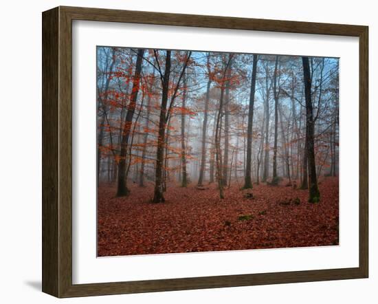 Ablaze in Red-Philippe Manguin-Framed Photographic Print