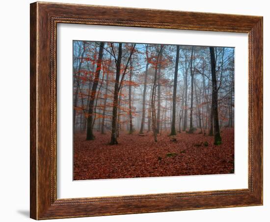 Ablaze in Red-Philippe Manguin-Framed Photographic Print