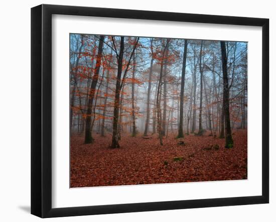 Ablaze in Red-Philippe Manguin-Framed Photographic Print