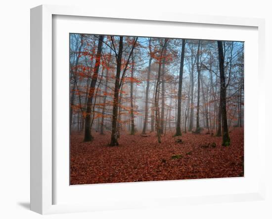 Ablaze in Red-Philippe Manguin-Framed Photographic Print