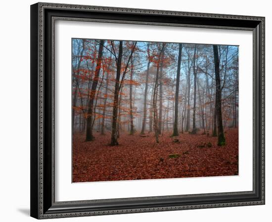 Ablaze in Red-Philippe Manguin-Framed Photographic Print