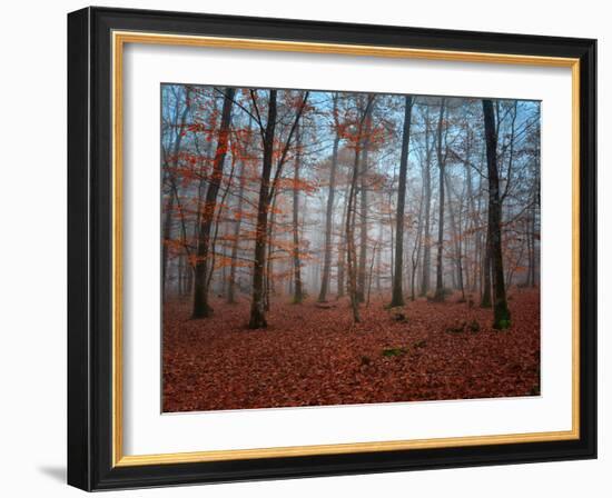 Ablaze in Red-Philippe Manguin-Framed Photographic Print