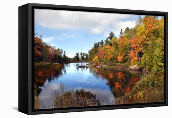 Ablaze with Color in Michigan-pudding-Framed Premier Image Canvas