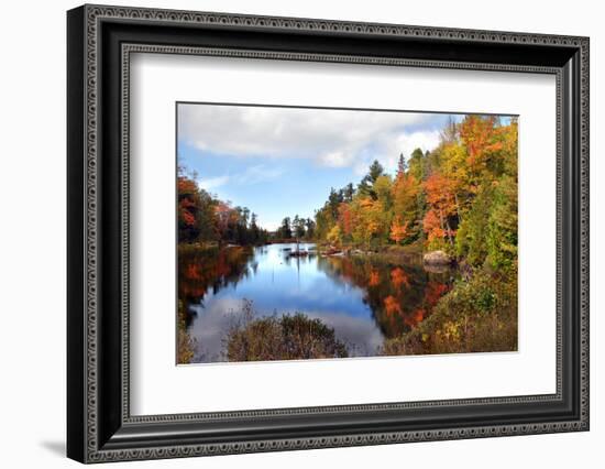 Ablaze with Color in Michigan-pudding-Framed Photographic Print