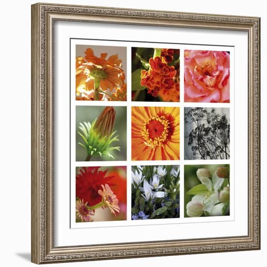 Ablaze-Mary Karla-Framed Giclee Print