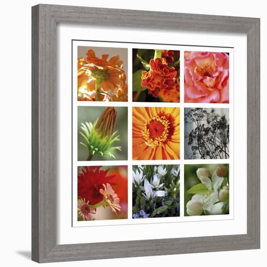 Ablaze-Mary Karla-Framed Giclee Print