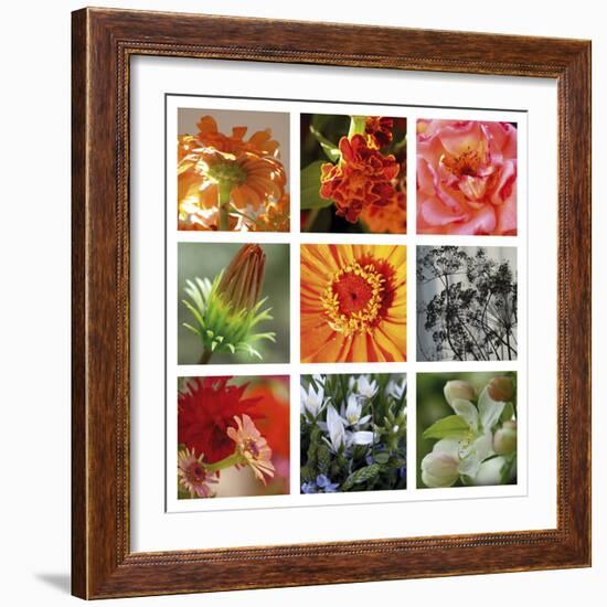 Ablaze-Mary Karla-Framed Giclee Print