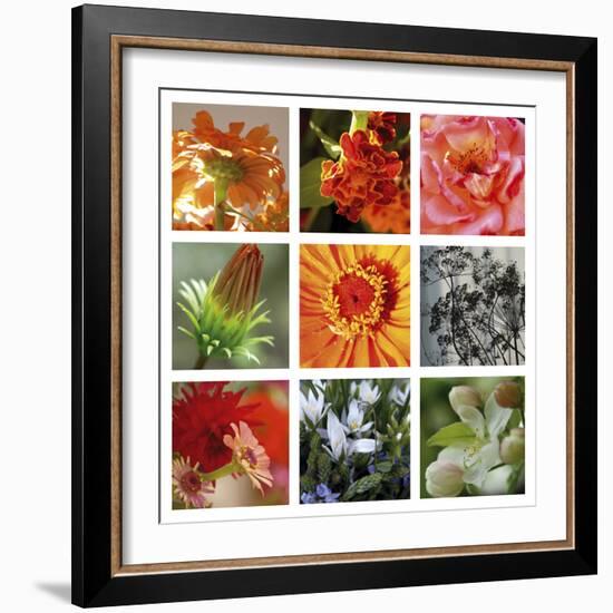 Ablaze-Mary Karla-Framed Giclee Print