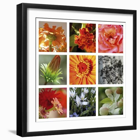 Ablaze-Mary Karla-Framed Giclee Print