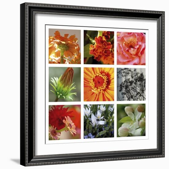 Ablaze-Mary Karla-Framed Giclee Print