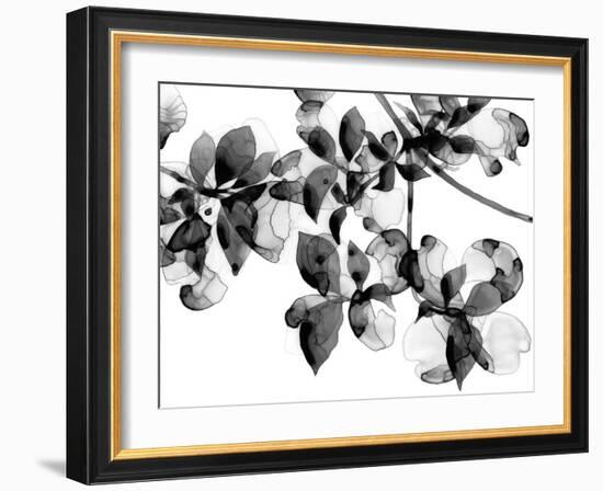 Abloom - Noir-Jackie Battenfield-Framed Giclee Print