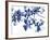 Abloom-Jackie Battenfield-Framed Giclee Print