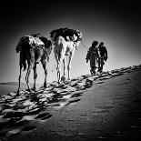 Square Black & White Image of 2 Men and 2 Camels in Sahara Desert-ABO PHOTOGRAPHY-Framed Photographic Print