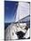 Aboard a Sailboat-null-Mounted Photographic Print