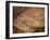 Aboriginal Charcoal Paintings at Yourambulla Rock Shelter, South Australia, Australia, Pacific-Robert Francis-Framed Photographic Print