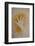 Aboriginal Hand Painting, Carnarvon Gorge, Queensland, Australia, Pacific-Michael Runkel-Framed Photographic Print