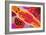 Aboriginal Painting-John Newcomb-Framed Giclee Print