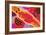 Aboriginal Painting-John Newcomb-Framed Giclee Print