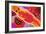 Aboriginal Painting-John Newcomb-Framed Giclee Print