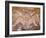 Aboriginal Paintings, Kakadu, Nourlangie, Australia-Connie Bransilver-Framed Photographic Print