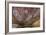 Aboriginal Wandjina Cave Artwork in Sandstone Caves at Raft Point, Kimberley, Western Australia-Michael Nolan-Framed Photographic Print